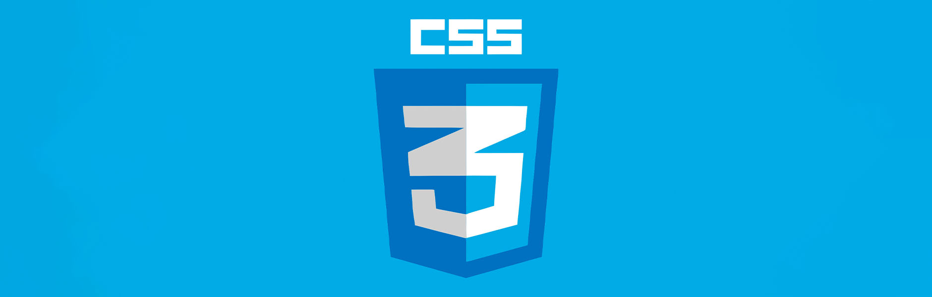 What is CSS?