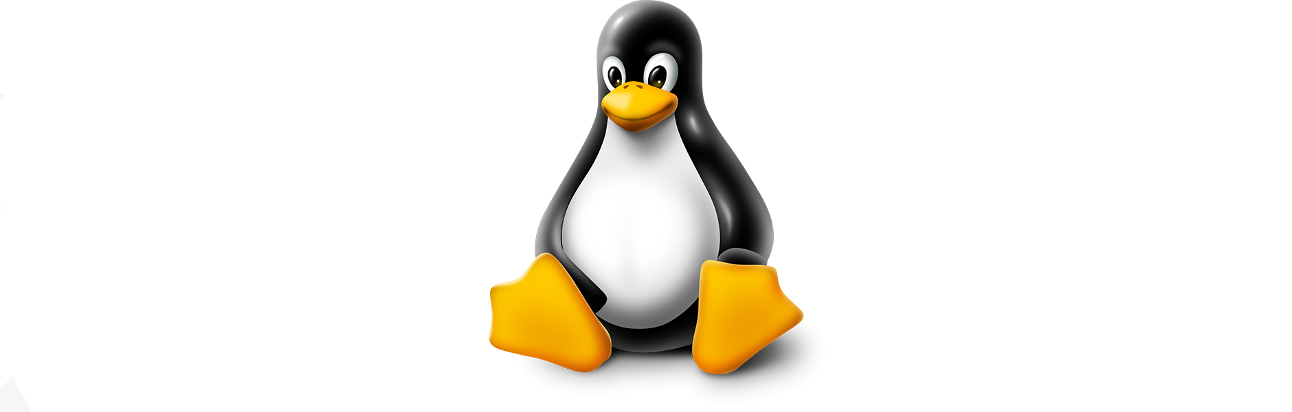 Linux Nedir?